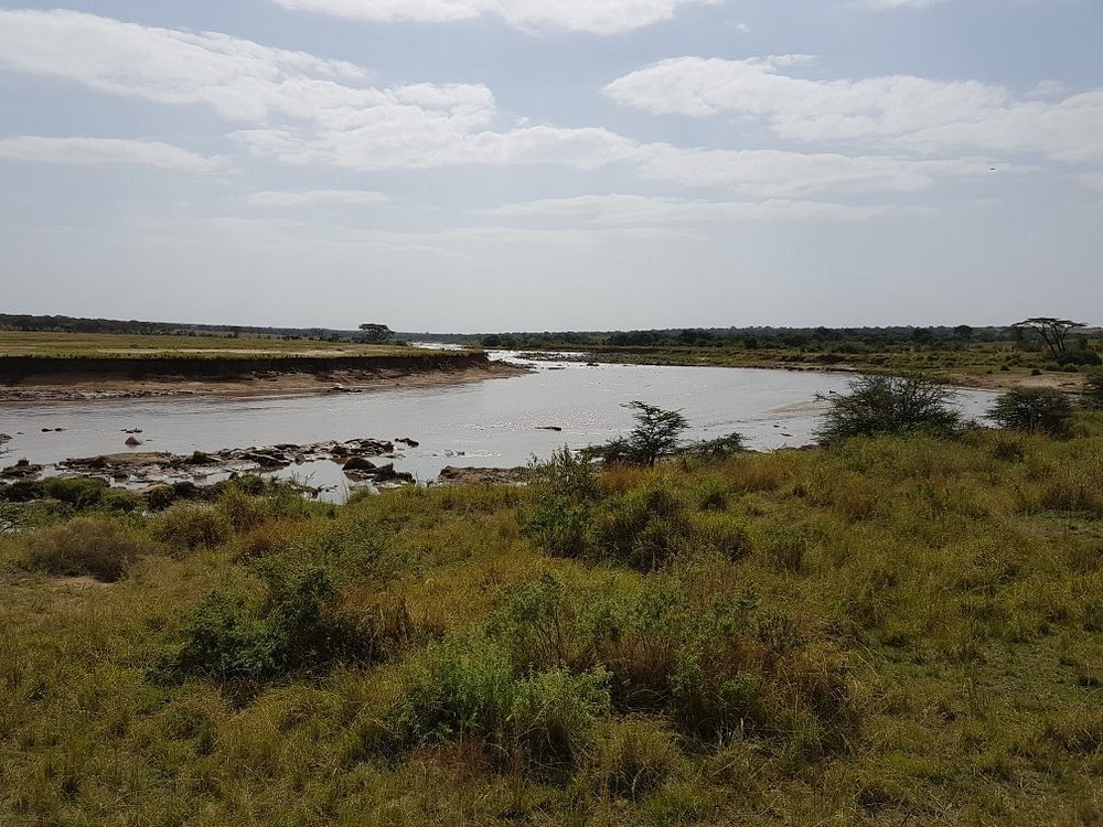 Serengeti Migration Safari