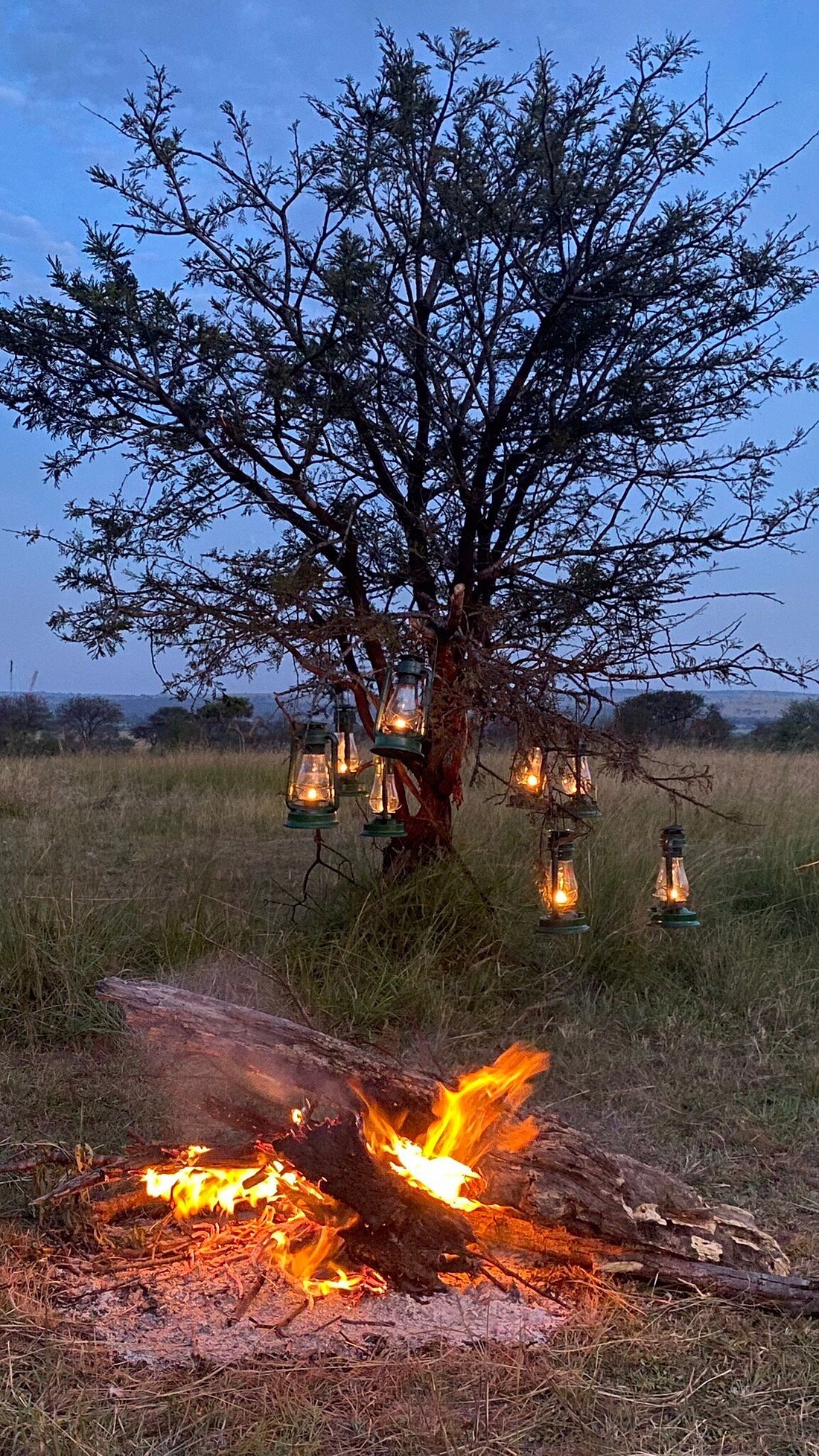 Slow-Paced Tanzania Safari safari inspiration in Tanzania
