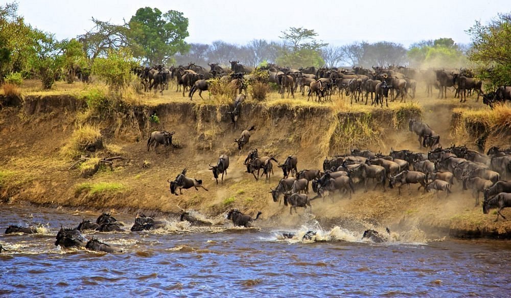 Great Migration Safari safari inspiration in Tanzania